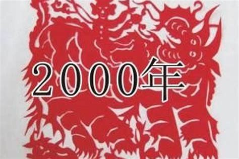 2000年是什么命